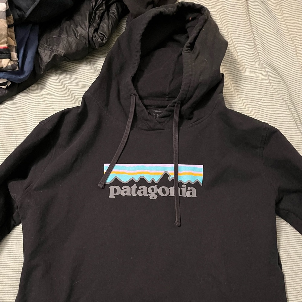 Patagonia Sweatshirt